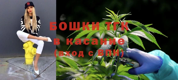 стаф Болохово
