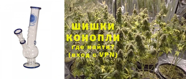 трава Болотное