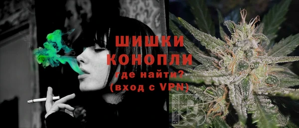 не бодяженный Няндома