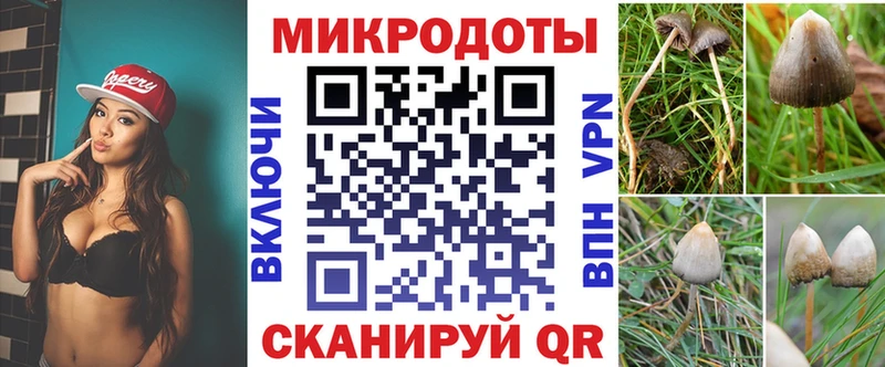 наркота  Снежногорск  блэк спрут   Псилоцибиновые грибы Psilocybe 