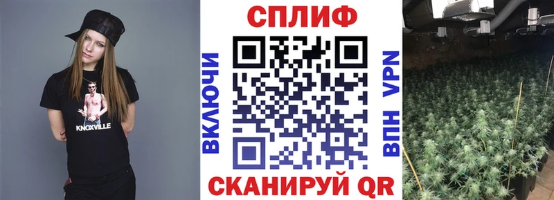 мега ONION  Снежногорск  Канабис THC 21% 